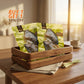 [B1T1-50% off] Tilapia Fillet