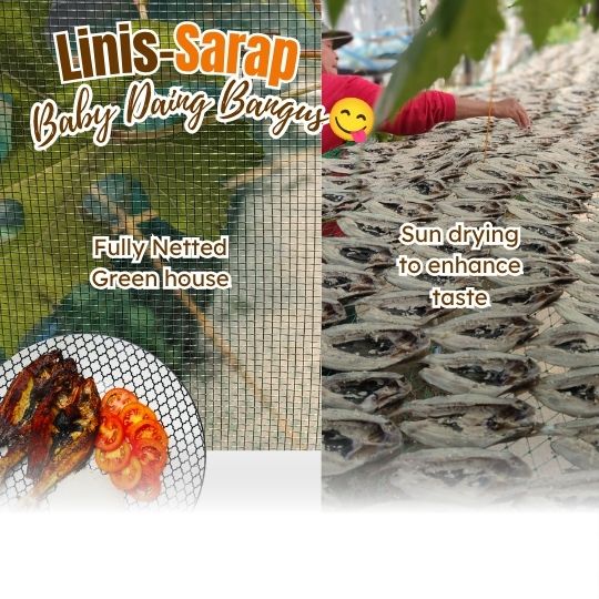 Daing – Baby Bangus 170g