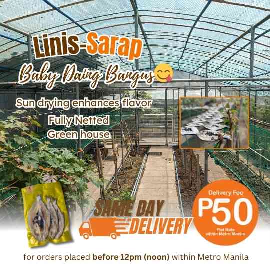 Daing – Baby Bangus 170g